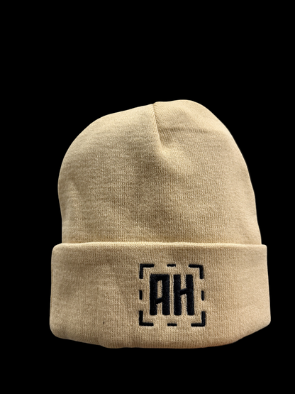 10 Year Anniversary Aspire Higher Beanie (2025)